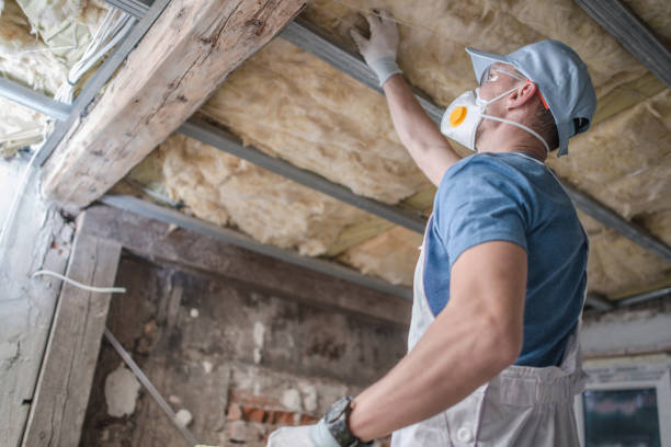Best Specialized Insulation Services in Whiteville, NC